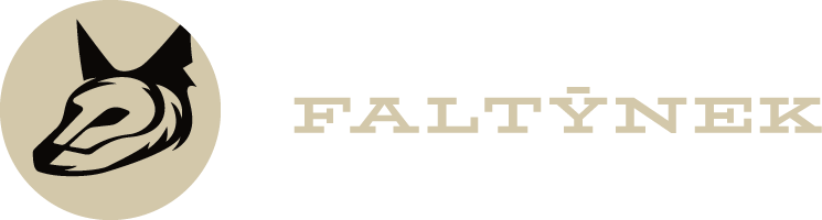 Martin Faltýnek - Portfolio